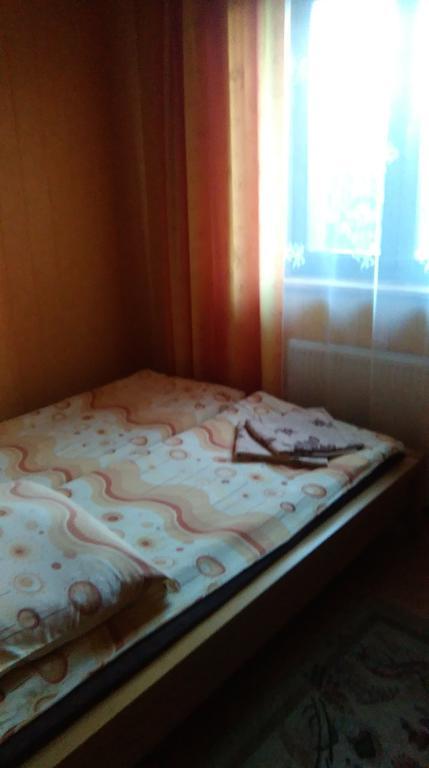 Apartament Przytulny kąt Białowieża Zewnętrze zdjęcie