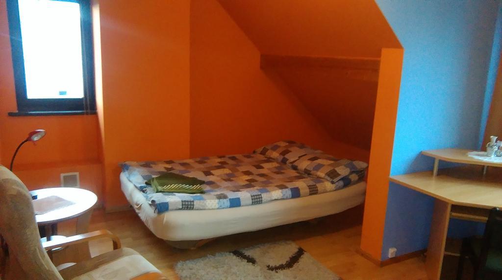 Apartament Przytulny kąt Białowieża Zewnętrze zdjęcie